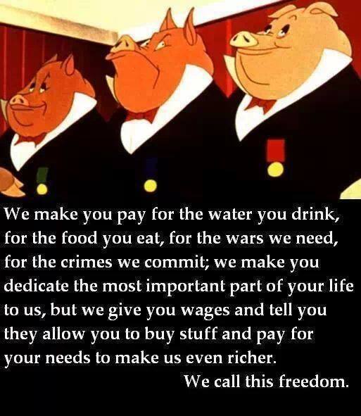 Svinen i Falukorvien