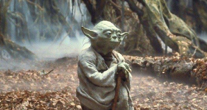 581892_10206965682475355_5426378988562766933_n