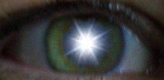 12717925_10207268006313262_6274256946549313287_n