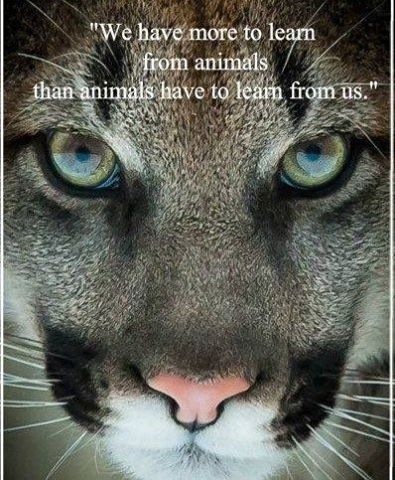 12742063_10207243836429030_3099768080189483376_n