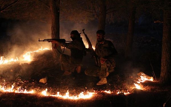 12744700_10156576086690296_287268227157150249_n