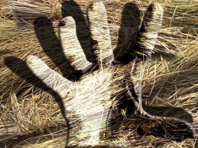 13083256_10207836315120627_8217404356993199388_n