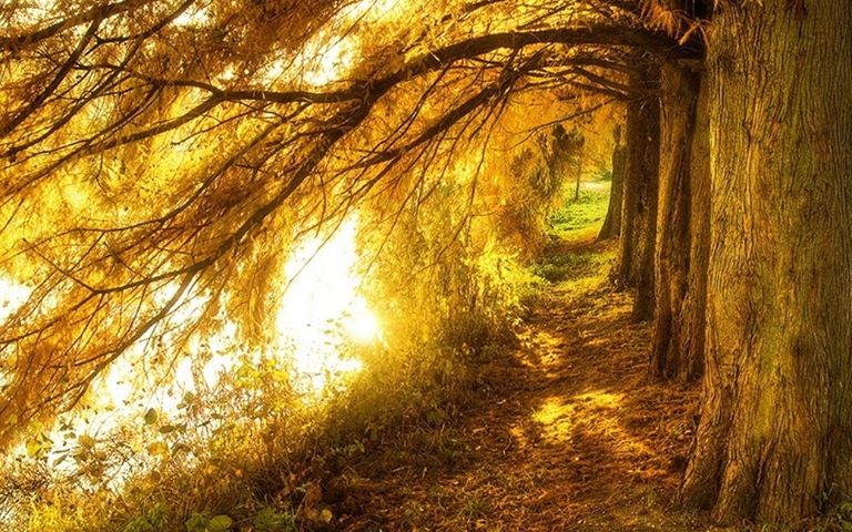 13147286_10207836964056850_8455638049920759605_o