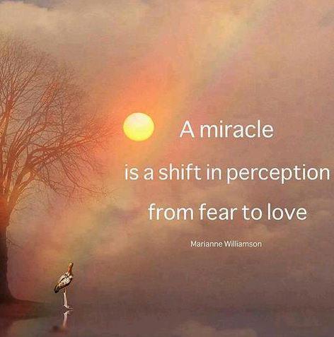 542295_521228974567077_1324147204_n