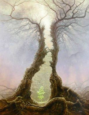 13445668_10208170346111193_4905198202673961877_n