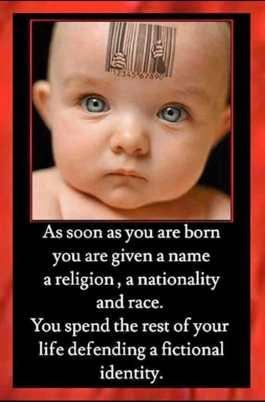 13466001_10154261752072065_6991464268820514639_n