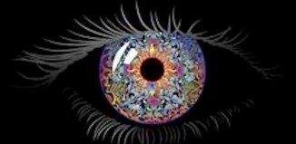 13532819_10208221648553722_4110698885279312736_n