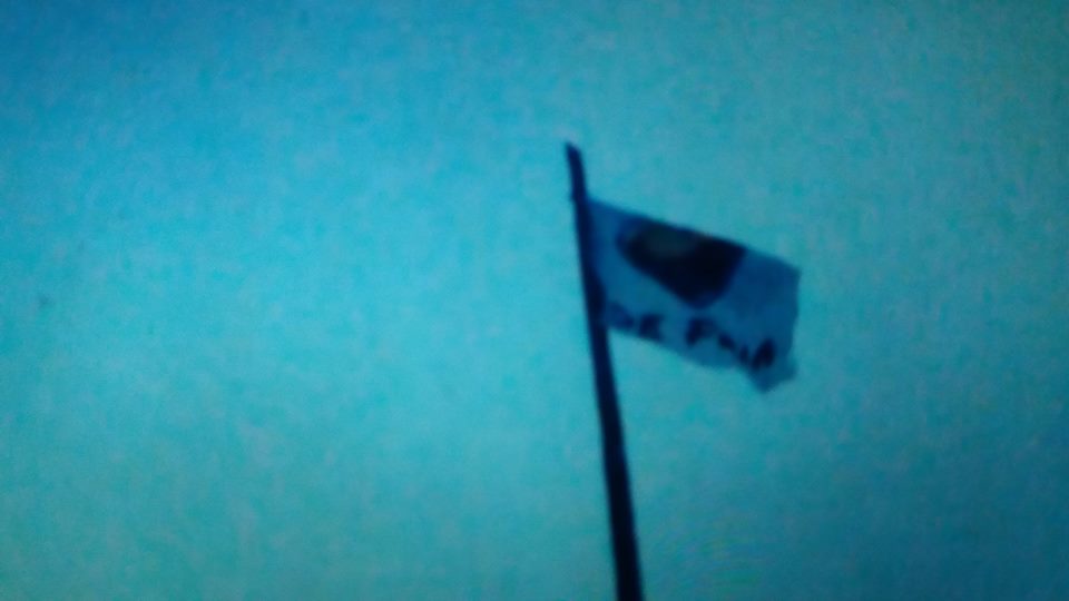 13600159_10157124446255296_304155427818062356_n