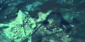 13680689_10208375698204867_2689424294538480643_n