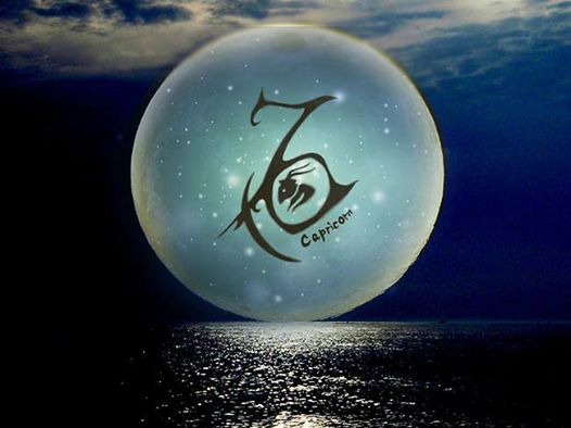 13781753_10208424553586221_491511964159051467_n