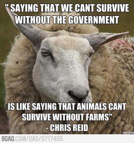 20429_388407047910764_1821069591_n