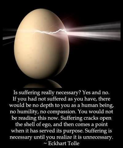 302728_388959997855469_1666460737_n