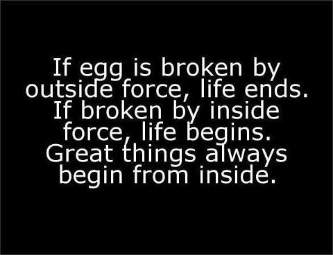 689_490265777672144_248809388_n