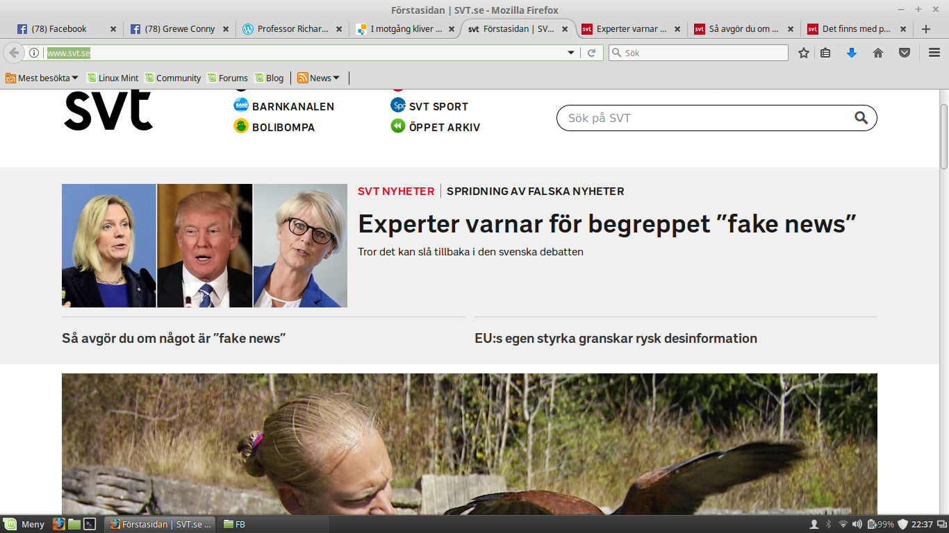 Skärmbild från 2017-03-14 22:37:21.png