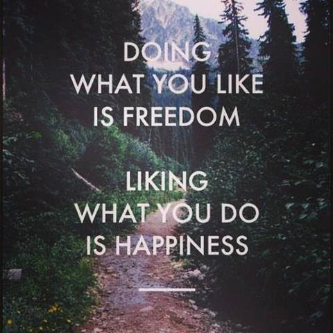 20245678_1527524503975308_8536940093052583735_n