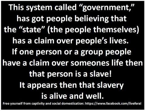 21032516_1559326157461809_9084869986384702503_n
