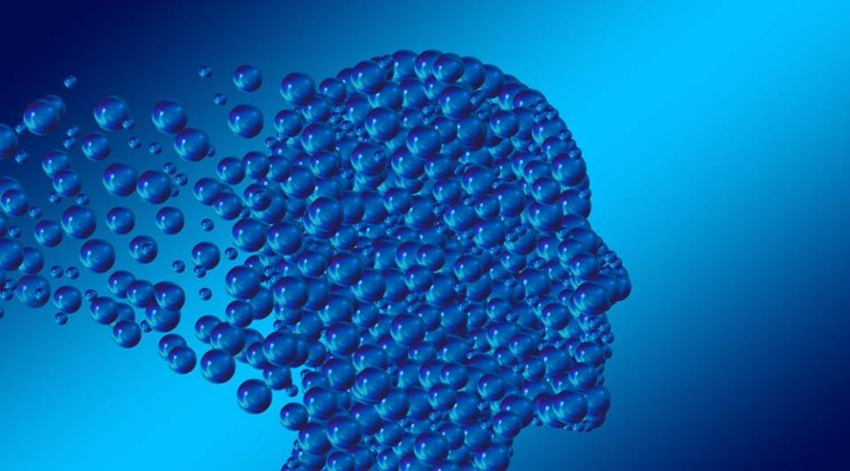 25507952_10213049127557680_1133780163042562424_n