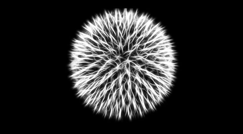 26239393_10213249500126869_2359888622493114467_n