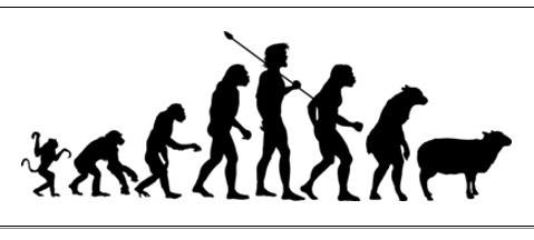 76157B58-93FA-46C3-A459-BF33D25328D3