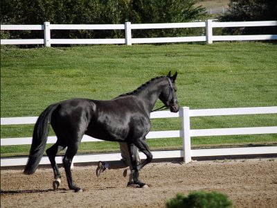 184B643D-B1BE-4375-A0AB-123107500390