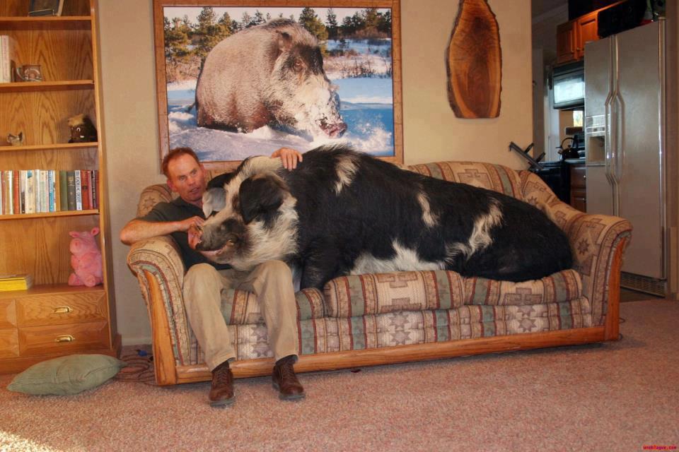 BBF73D36-D314-4876-BFB2-E9767999BFEC